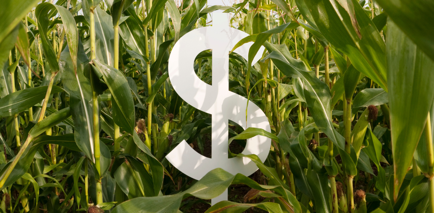 Produtos para Agronegócio